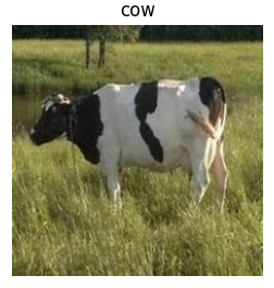 Intelligens János Gazda